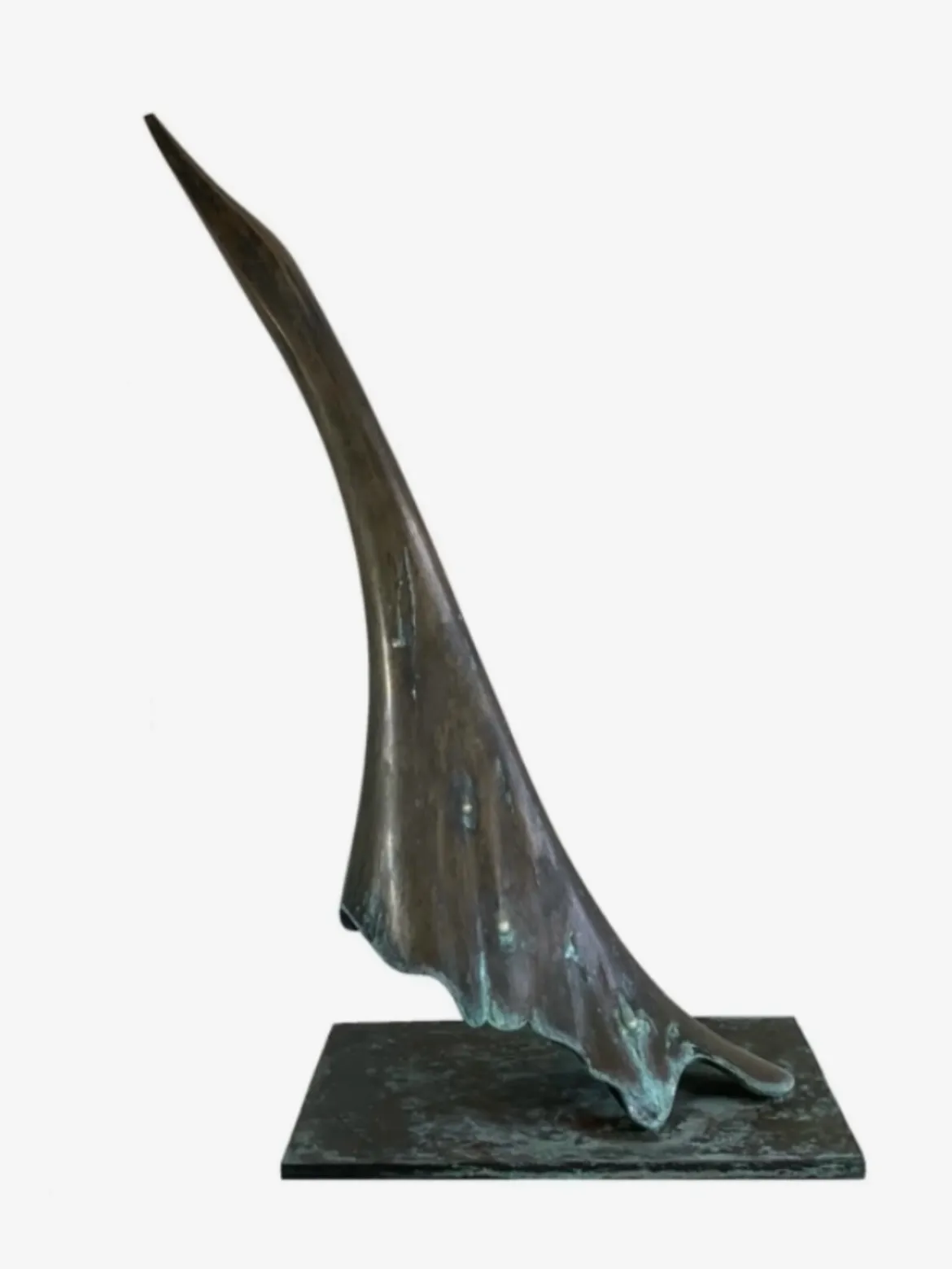 Image de l'œuvre