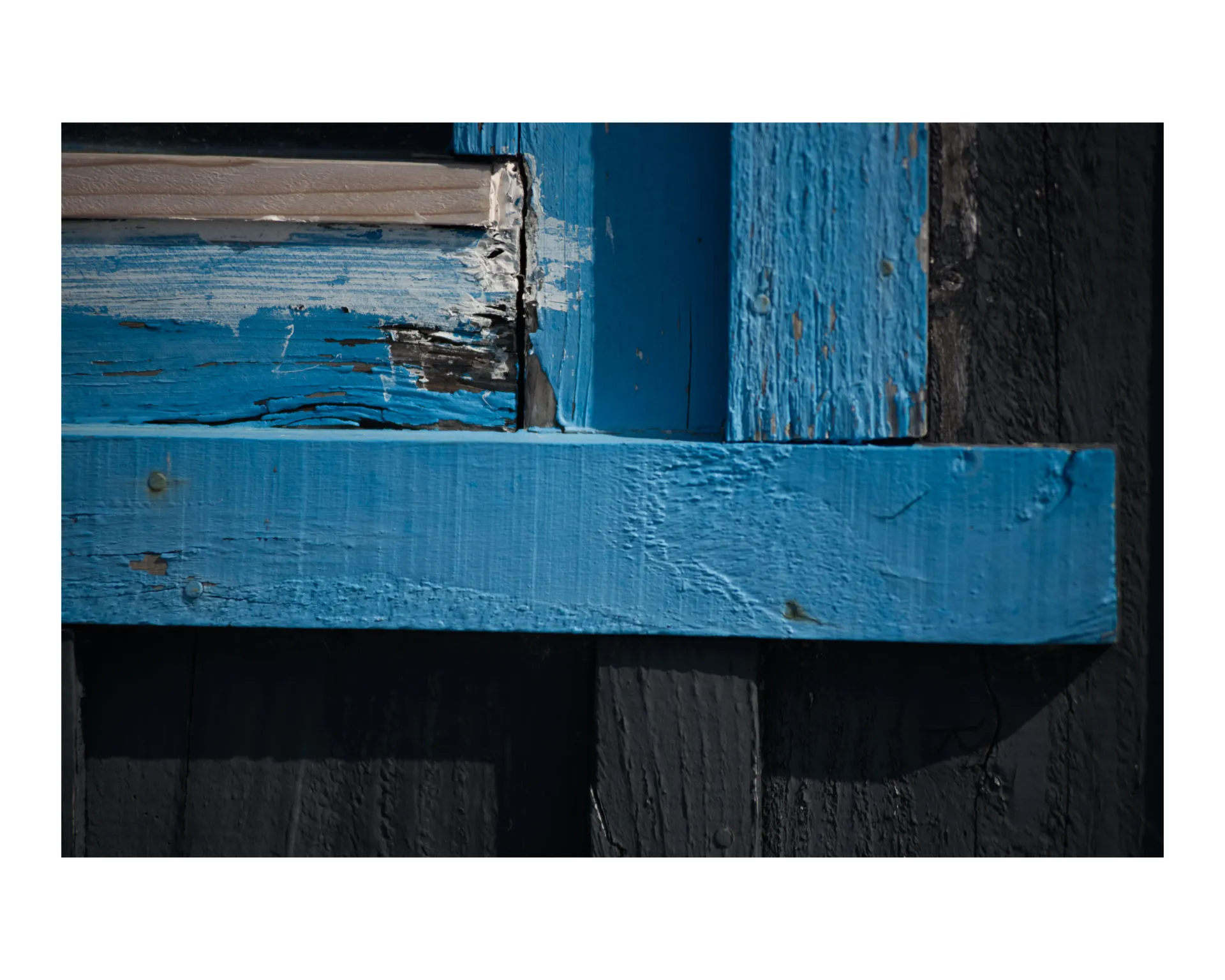 Image de l'œuvre