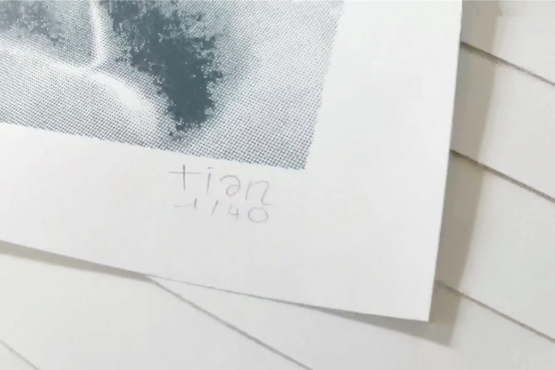 Image de l'œuvre