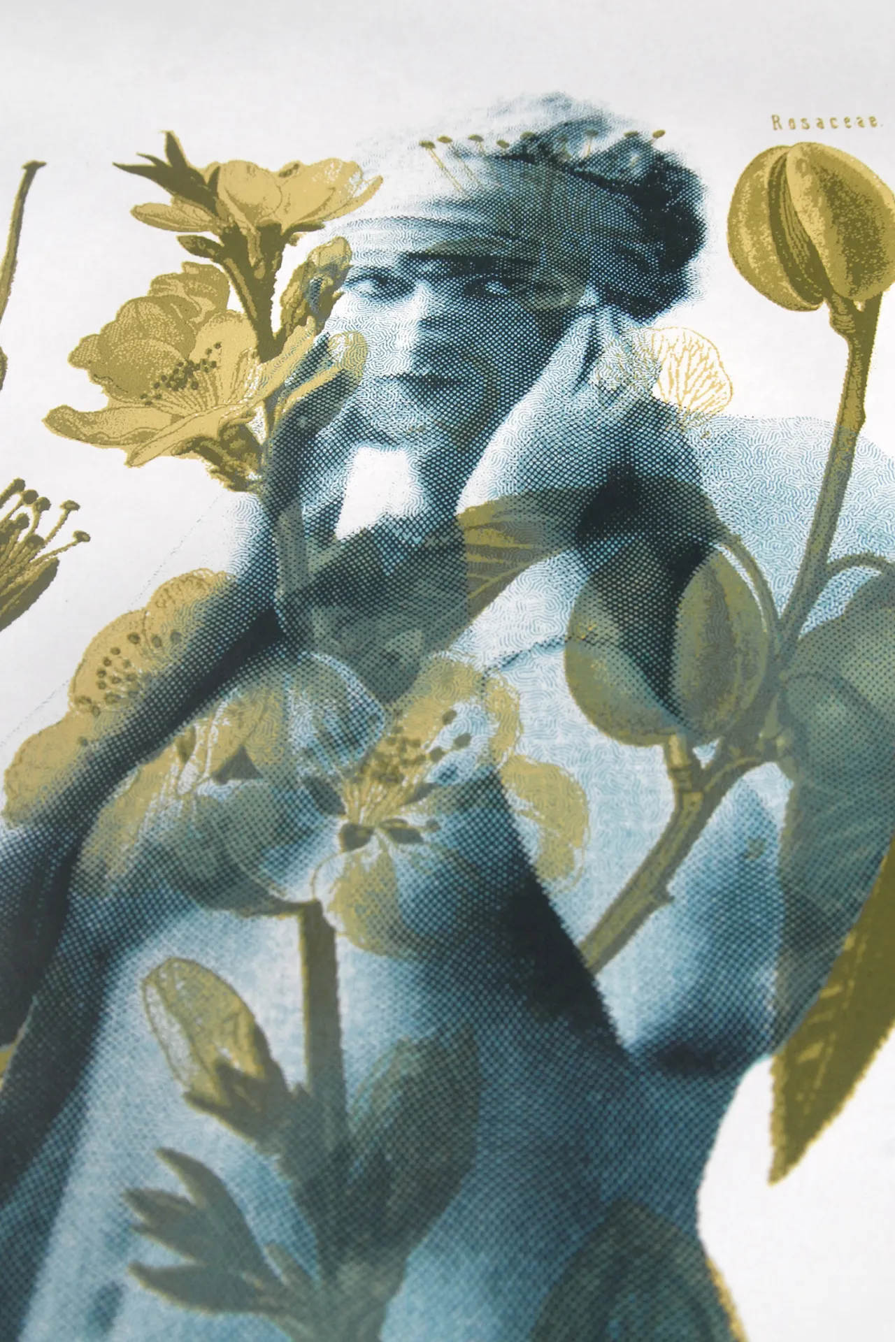 Image de l'œuvre