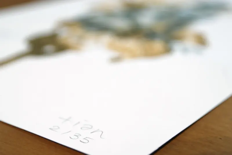 Miniature de l'œuvre